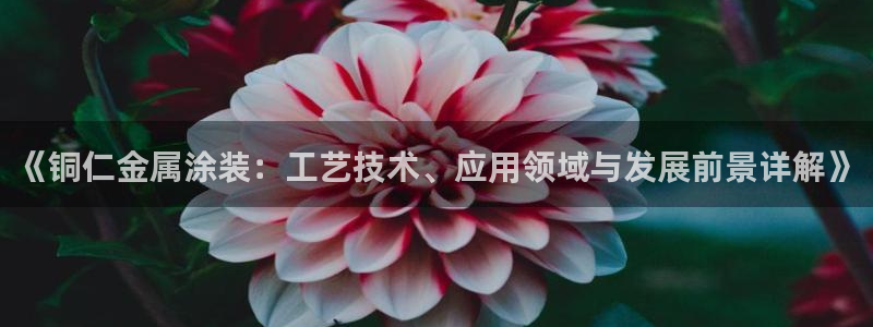 美狮美高梅酒店哪年开业
