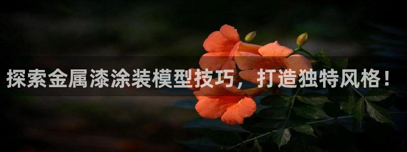 美高梅房价