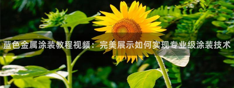 美高梅现状