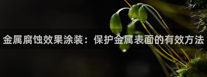 美高梅哪里领奶茶