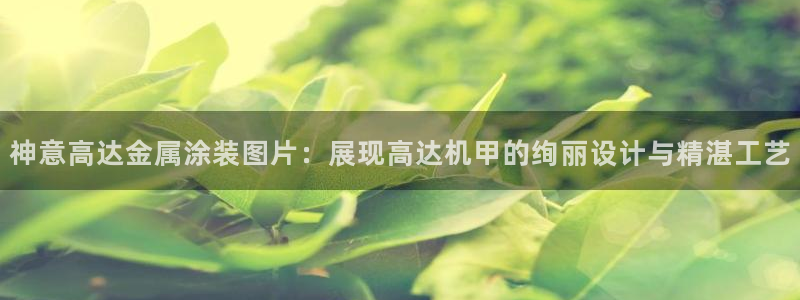 美高梅休闲中心