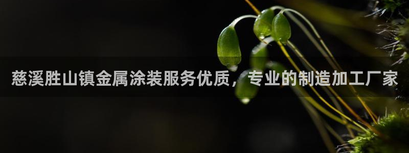 美高梅金狮卡是什么卡