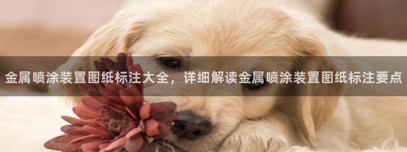 美高梅酒店香味