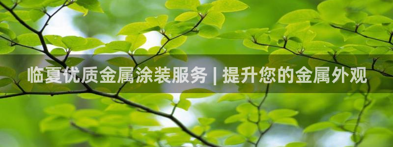 美高梅母公司