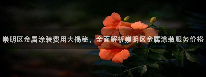 美高梅会员卡积分兑换