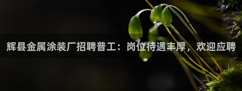 美高梅下载苹果版