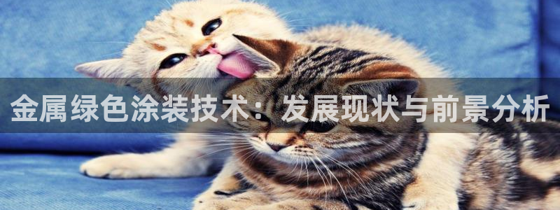 美高梅风水