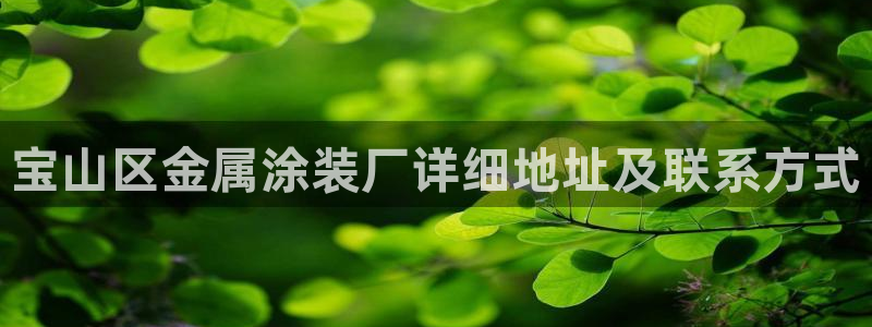 美高梅公司全称是什么