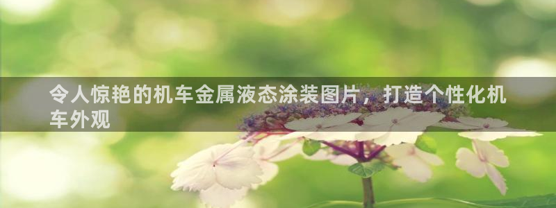 美高梅控股有限公司怎么样