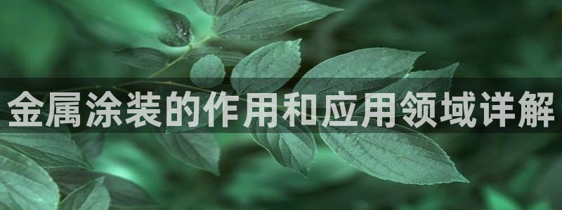 美高梅租房